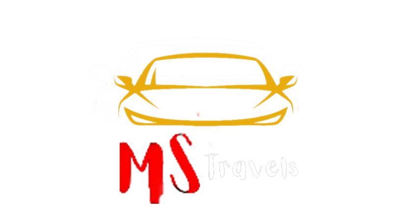 ms travels Logo Image